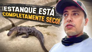 Mi Alligator Se Secó!!!