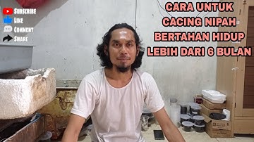 CARA UNTUK CACING NIPAH BERTAHAN HIDUP LEBIH DARI 6 BULAN