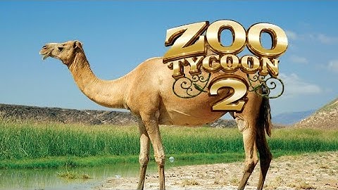Zoo tycoon 2: Dromedary camel exhibit