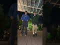 みせぱんはいてます