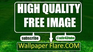 Information How to Download HD Images from Google 🔥 | Easy Google Image Download Trick Update