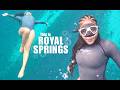 ROYAL SPRINGS &amp; THE BEAUTY OF THE OCALA NATIONAL FORREST