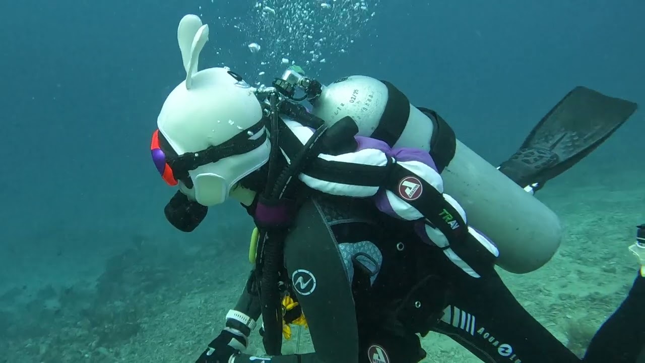 HYDRONE 3mm White Rabbit Scuba Hood🤿🐰