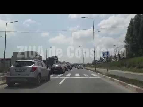 Cal, surprins în plină stradă, pe drumul ce leagă Constanța de Năvodari (galerie foto+video)