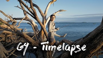 Panasonic G9 - Quick and Easy Timelapse