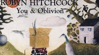 Watch Robyn Hitchcock Captain Dry video