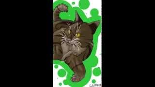 Speedpaint - Random Cat Test