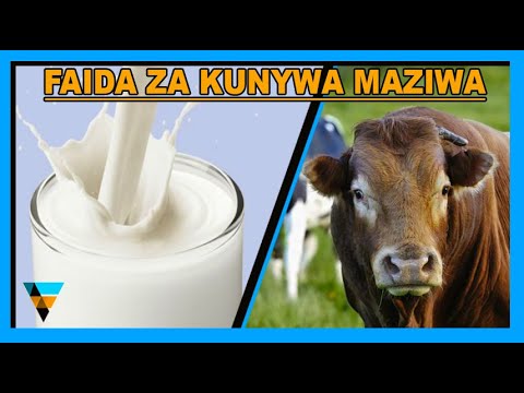 Video: Faida Za Bidhaa Za Maziwa Zilizochacha