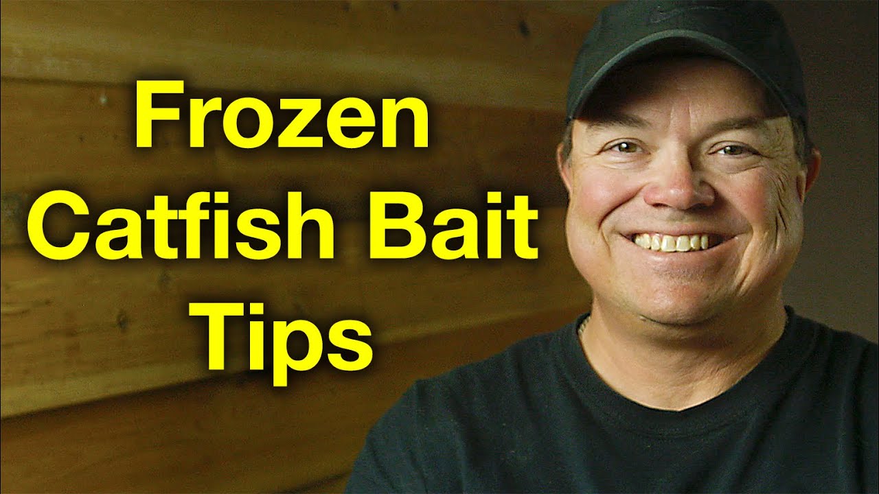 Tips on Using Frozen Catfish Bait 