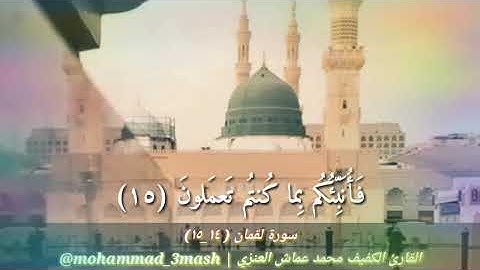محمد عماش العنزي سورة لقمان (١٤_١٥)