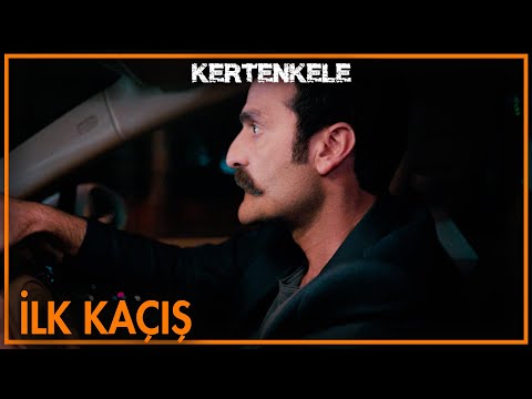 Kertenkele kaçabilecek mi? - Kertenkele 1. Bölüm