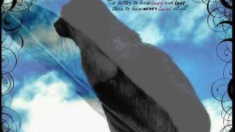 Graystripe: Down the Road