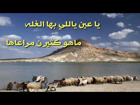 ربابة صالح مبارك الشراري مناظر من البادية السورية