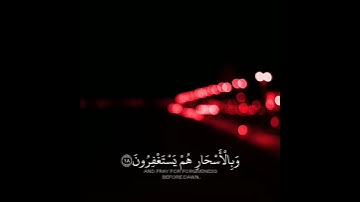 أرح سمعك تلاوه هاديه تريح القلب والعقل بصوت انس شهاب #حالات_واتس_اب