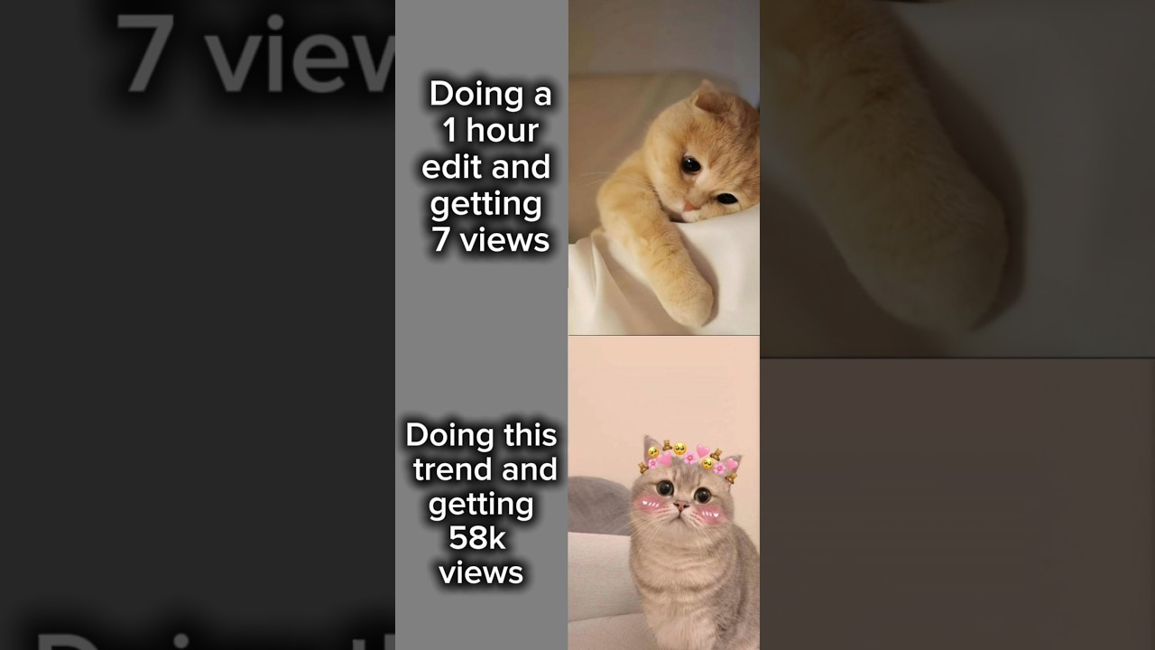 Best trend👸  .right now. 