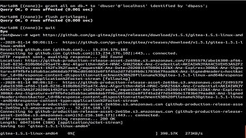 How To Install Gitea Git Service With Apache2 Web Server on Ubuntu 18.04