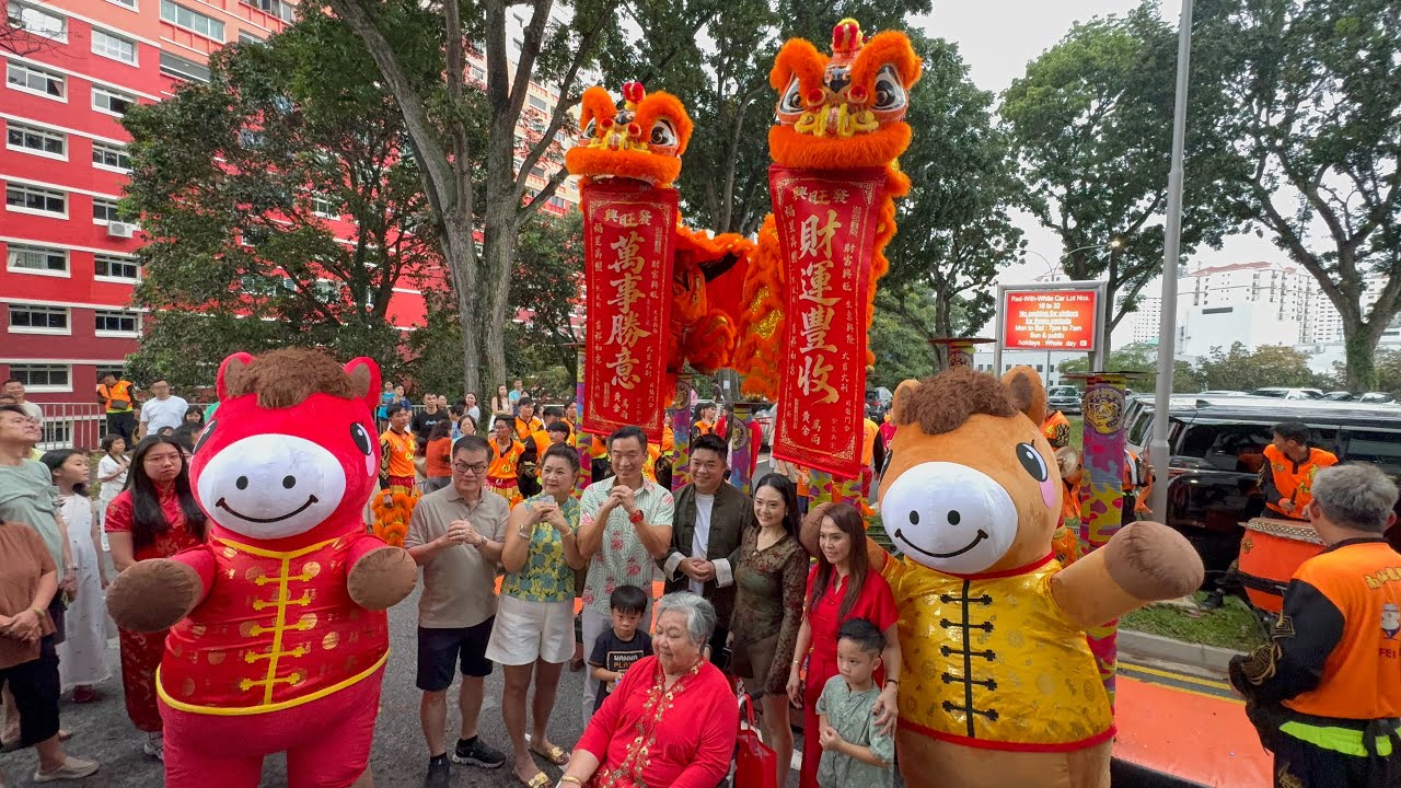 新加坡南仙龙狮体育会 Nam Sieng Dragon & Lion Dance Performances at Blk 8 Jalan Rumah Tinggi 21 Feb 2026 