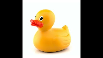 Quarto Website Walk-through