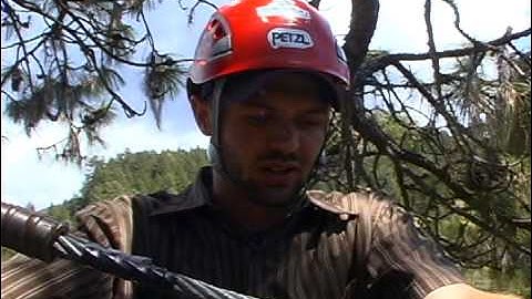 Treehouse Ziplines at Out N About DVD