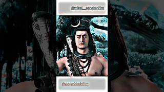 Mahadev_ne_nigas_ko_di_mukti viral mahadev shiv bhakti youtube shortvideo status