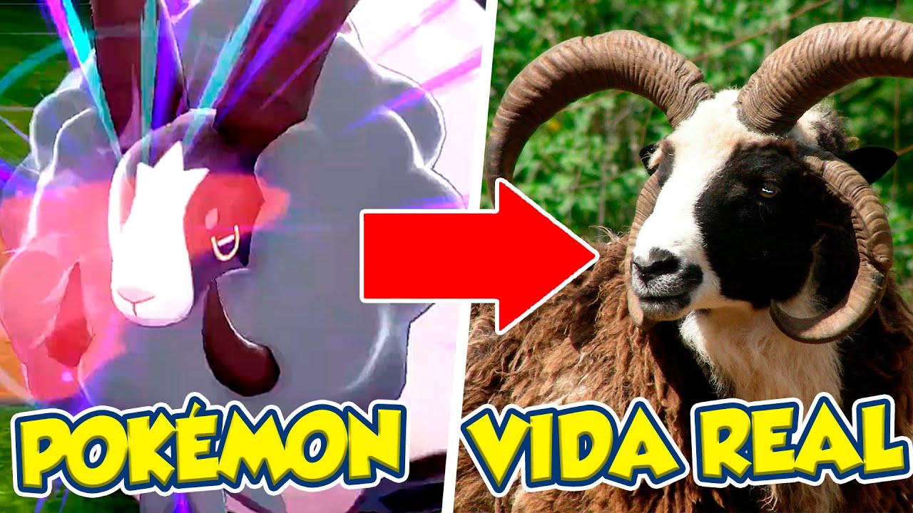 Pokémons da vida real aparecem e dão até sustos! - Fotos - R7 Jogos