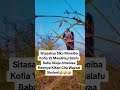 Nutshellgroup Sakybella Funnymemes Rayvanny Love 2025 Funny Comedy Nutshellgroup Sakybella Funnymemes Rayvanny Love 2025 Funny Comedy