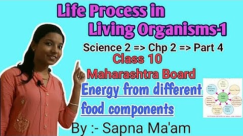 Life Processes in Living Organisms -1| Energy of food components | Class 10 SSC(Full Chp - Part 4) |