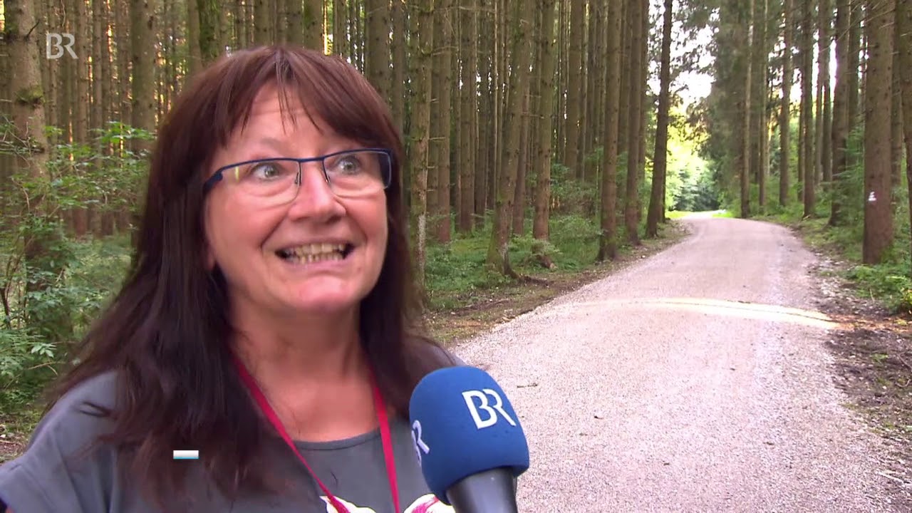 Wer zerreißt in Marktoberdorf Geldscheine? | BR24