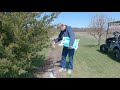 Preparing asparagus patch for the season