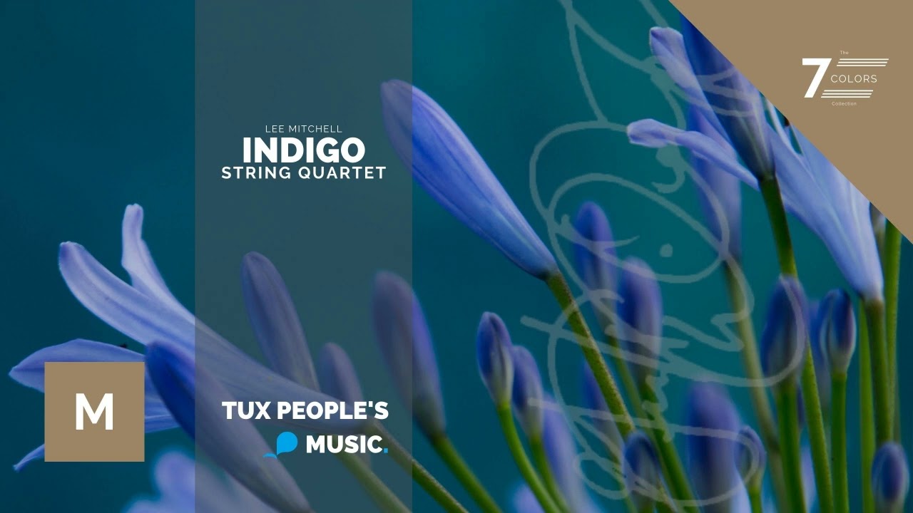 Indigo (String Quartet) - Lee Mitchell - YouTube