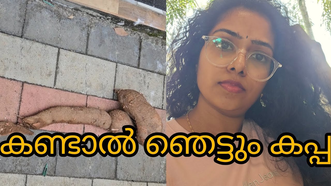 കണ്ട് ഞെട്ടും കപ്പ #minivlog #kappa