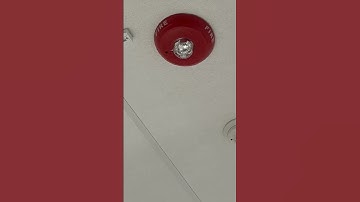 System Sensor L Series SCRL Remote Strobe