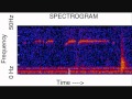 Unexplained Deep Sea Sounds at 16X Speed π