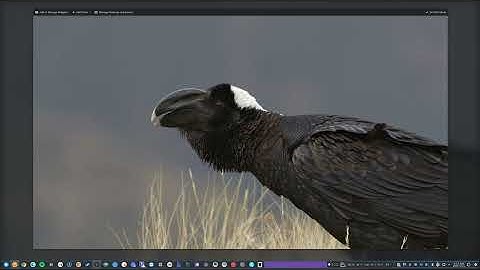 Plasma 6.5.4 Released with many bug fixes & How to get it for Kubuntu 25.10 & 25.04