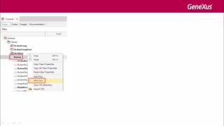 Introduction to the Theme object