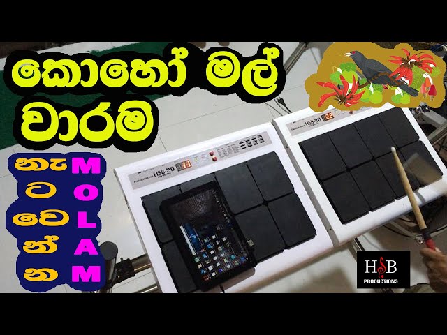 Koho mal waram | molam patch | HSB MIDI PAD class=