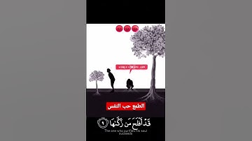 تلاوة تأخذك الى عالم اخر🇮🇶