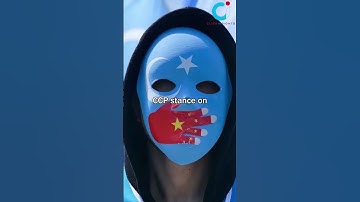 DeepSeek vs. Qwen 2.5: Which One Is The Ultimate AI Chatbot?