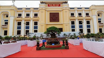 Xem Triển Lãm Cây Cảnh Nghệ Thuật Cụm Hà Nam Ở Ninh Bình 2025