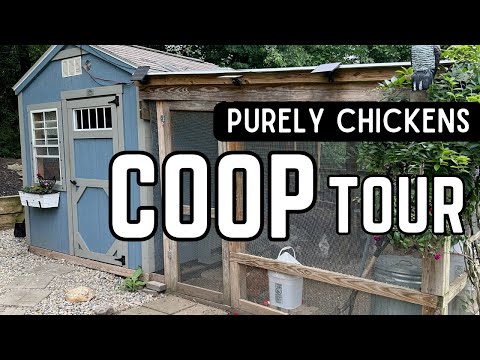 Purely Chickens Coop Tour