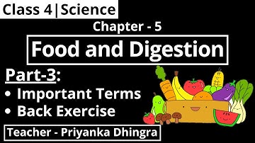 Class 4 | Science | Chapter - 5 : Food and Digestion (Part-3 : Back Exercise)