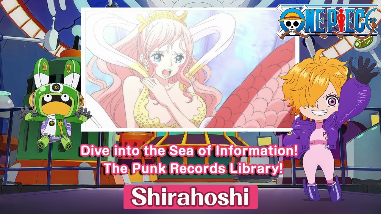 Dive into the Sea of Information! The Punk Records Library
