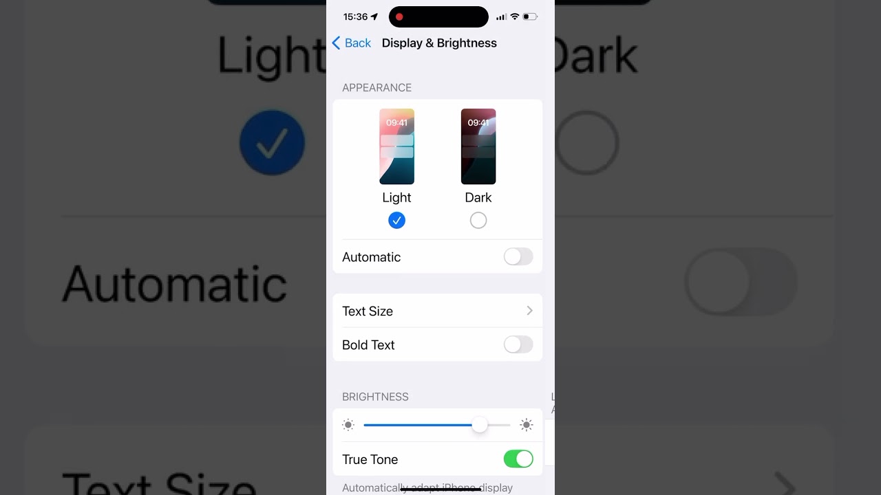 how to change text size iOS 18.1