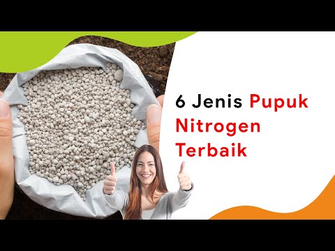 Video: Pupuk nitrogen: manfaat dan bahaya