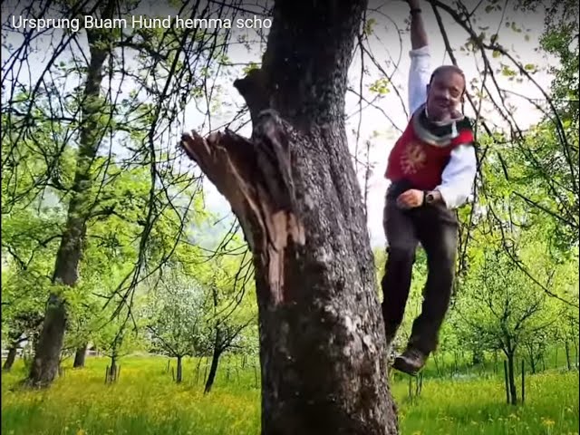 Ursprung Buam - Die Zeit bleibt stehn