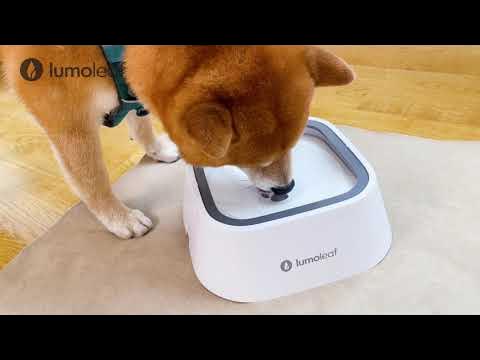 LumoLeaf Slow Feeder Dog Bowls,Warm home