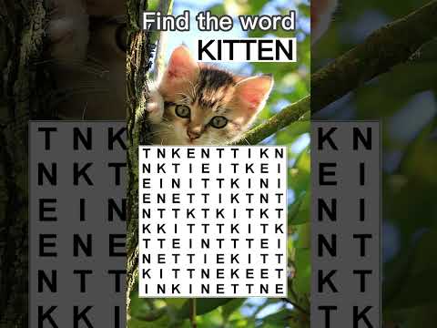 #1 Find 'KITTEN' Word Search Mới Nhất