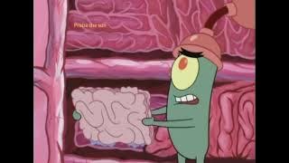 Sounds that make Praise the sun upset?