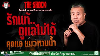 Download Lagu รักแท้..ดูแลไม่ได้ คุณเอ แมวหานน้ำ | THE SHOCK MP3 Download Lagu รักแท้..ดูแลไม่ได้ คุณเอ แมวหานน้ำ | THE SHOCK MP3