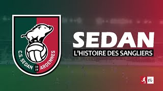 🟢🔴 Sedan, l'histoire des sangliers 🐗